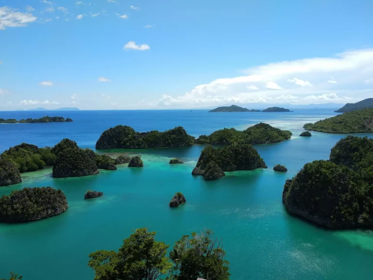Aerial view of Raja Ampat islands, Indonesia